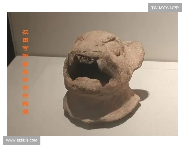 穿越时空探秘古代遗迹 揭开失落宝藏的神秘面纱 穿越时空探秘古代遗迹 揭开失落宝藏的神秘面纱