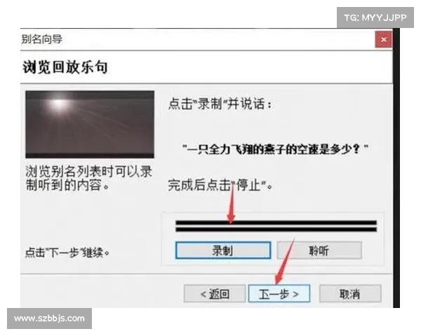 MorphVox Pro使用技巧详解 MorphVox Pro使用技巧详解