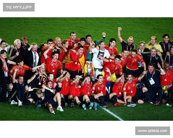 奥地利与瑞士联合举办2008年欧洲杯回顾与赛事亮点分析